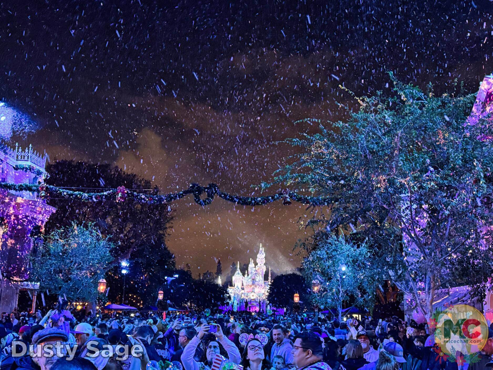 , Disneyland Update – Boom, Bust, Crowd Crush & It’s a Small Nude After All