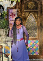 Disneyland-disney wish-asha meet and greet-2