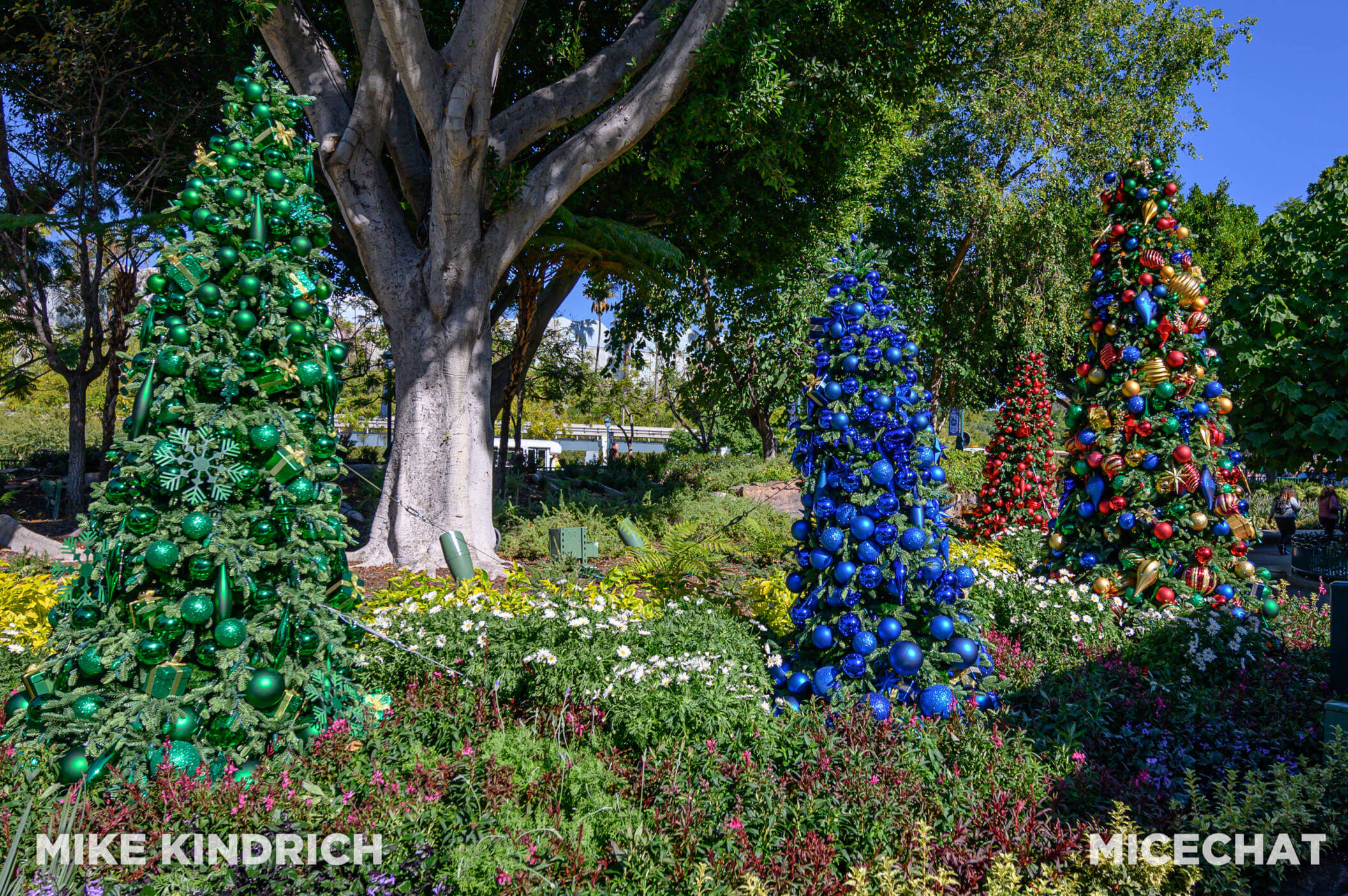 Downtown Disney's 2023 Holiday Lineup, No Ticket Required: Downtown Disney’s 2023 Holiday Lineup!