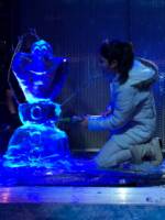 Ice Carving DCA