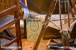 Mike Kindrich_Disneyland_Adventureland_Treehouse_Completed (1 of 1)-43