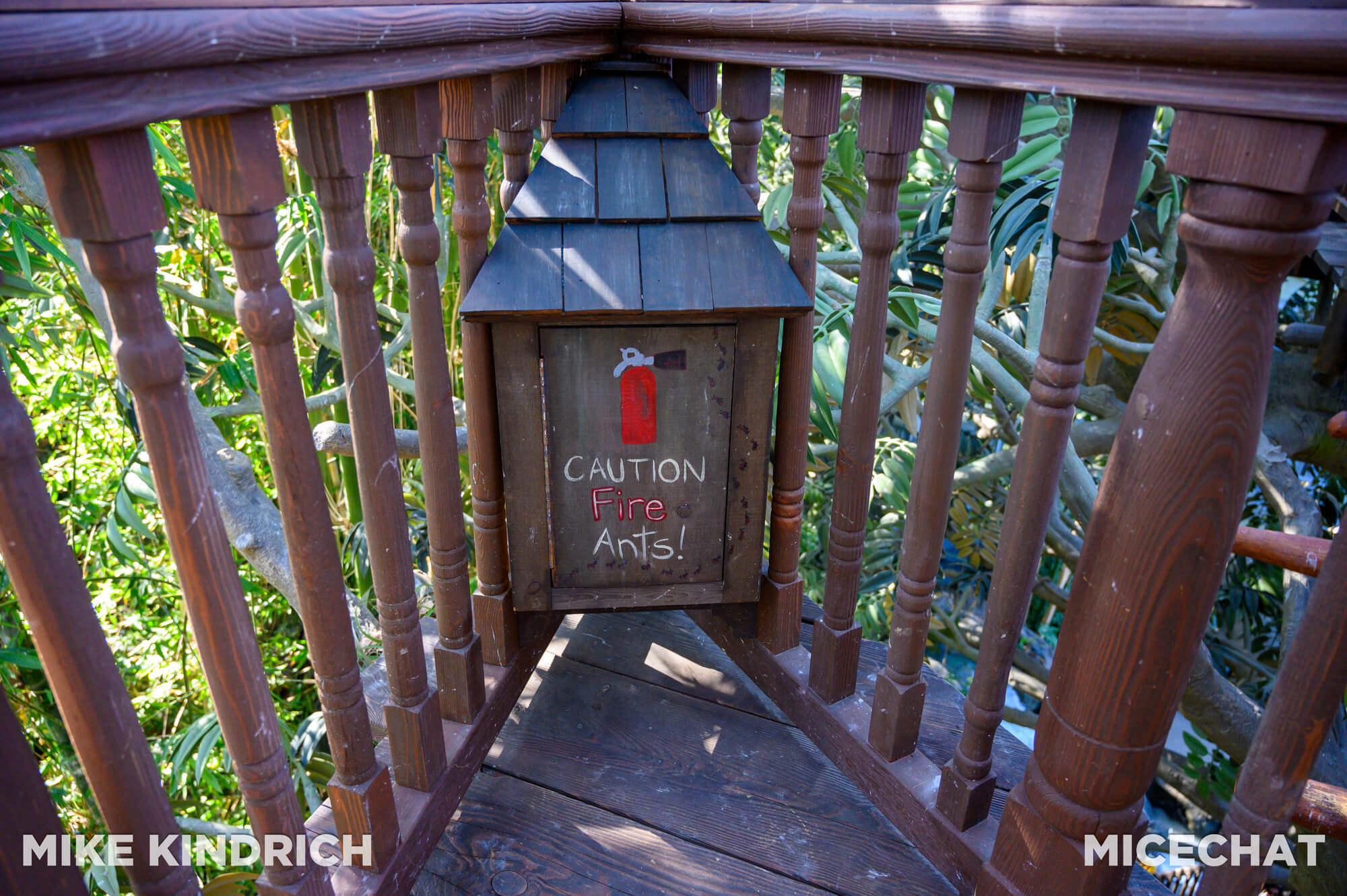 Adventureland Treehouse, MiceShots: Disneyland’s Adventureland Treehouse an Instant Classic!