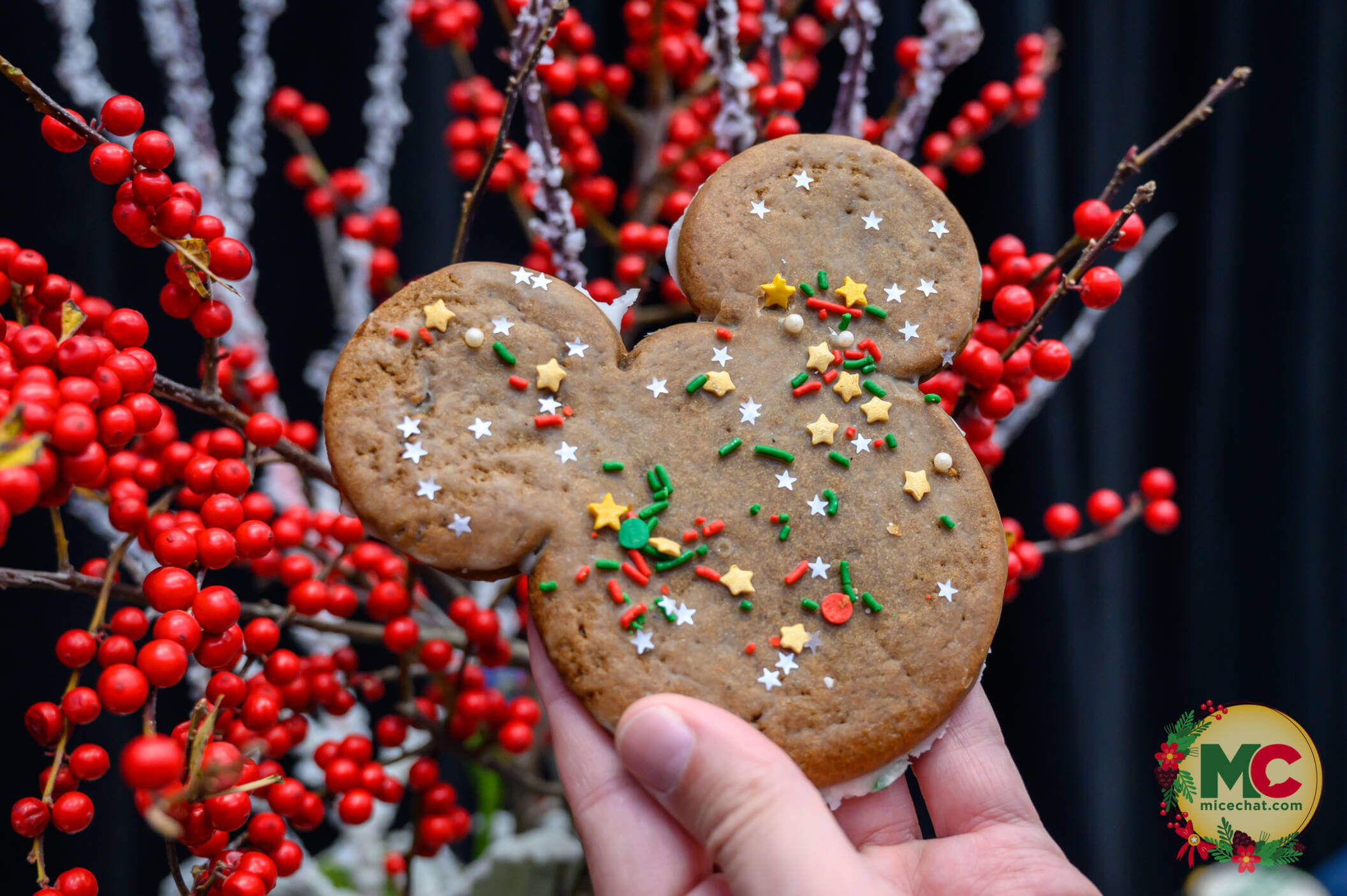 Disneyland holiday, Disneyland Update: Exciting Openings, Maintenance Concerns, Holiday Crush & Pin Rules