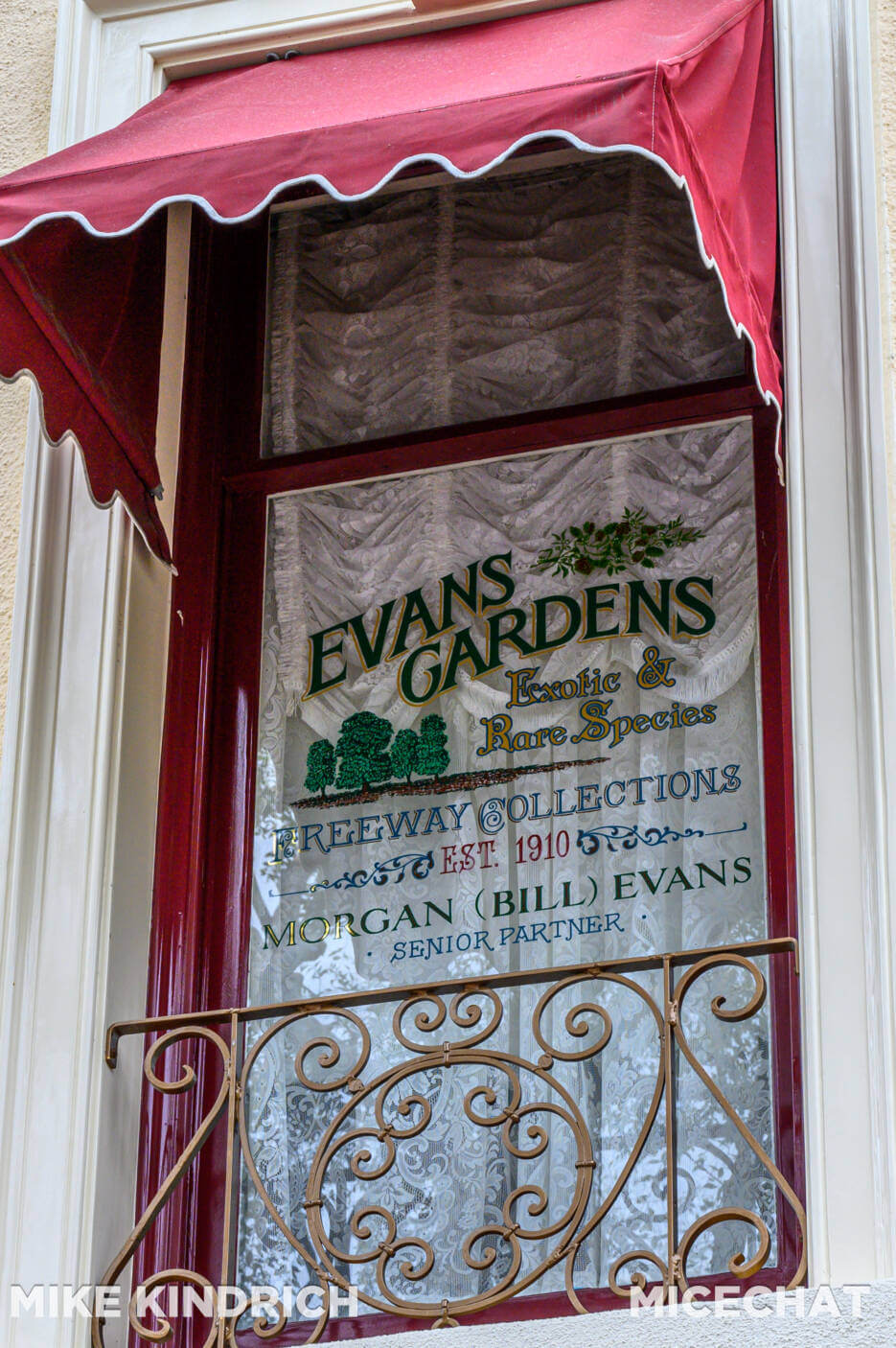 Windows of Main Street U.S.A.