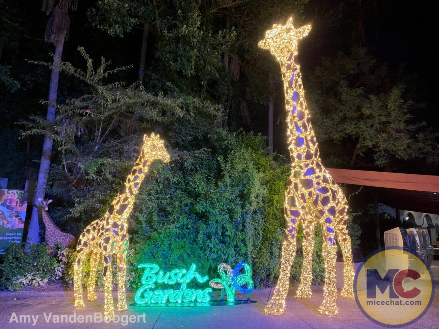 Christmas town celebrations