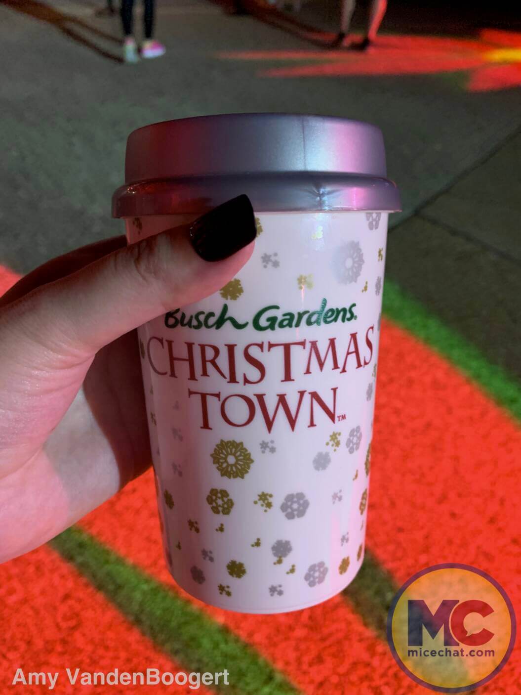 , Busch Gardens Tampa Christmas Town: Lights, Thrills, and Festive Delights!