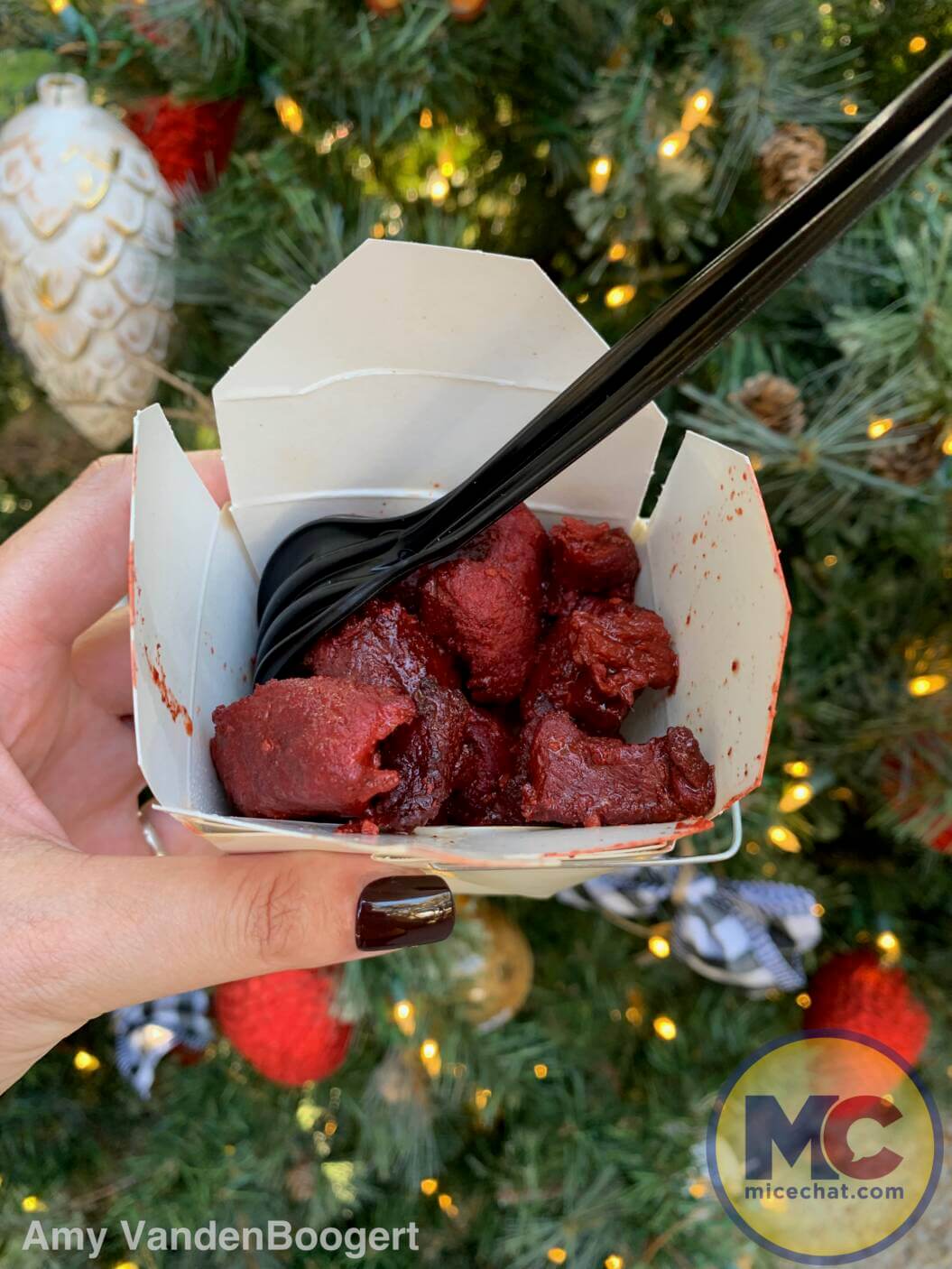, Christmas Town at Busch Gardens Tampa is Merrily Delightful