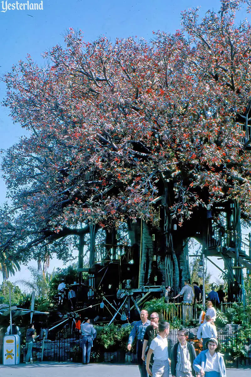 Adventureland Treehouse, MiceShots: Disneyland’s Adventureland Treehouse an Instant Classic!