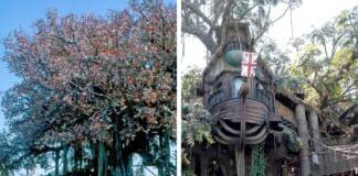 Swiss Family Treehouse and Tarzan's Treehouse