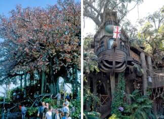 Swiss Family Treehouse and Tarzan's Treehouse