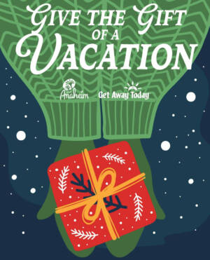 , WDW UPDATE: Pricey Premier, Stormy Season & Christmas Countdown!