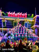 Disneyland Candlelight tree trumpeters tall