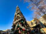 Disneyland News Beauty Christmas DCA Tree 1 MiceChat