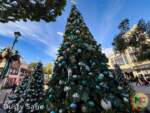 Disneyland News Beauty Downtown Disney Tree MiceChat