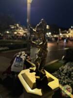 Disneyland News Beauty Goofy Night MiceChat