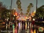 Disneyland News Beauty Hollywood Rain MiceChat