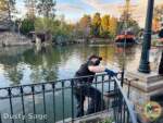 Disneyland News Beauty Rivers of America MiceChat