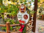 Disneyland News Christmas DCA Redwood Creek meet santa sign MiceChat