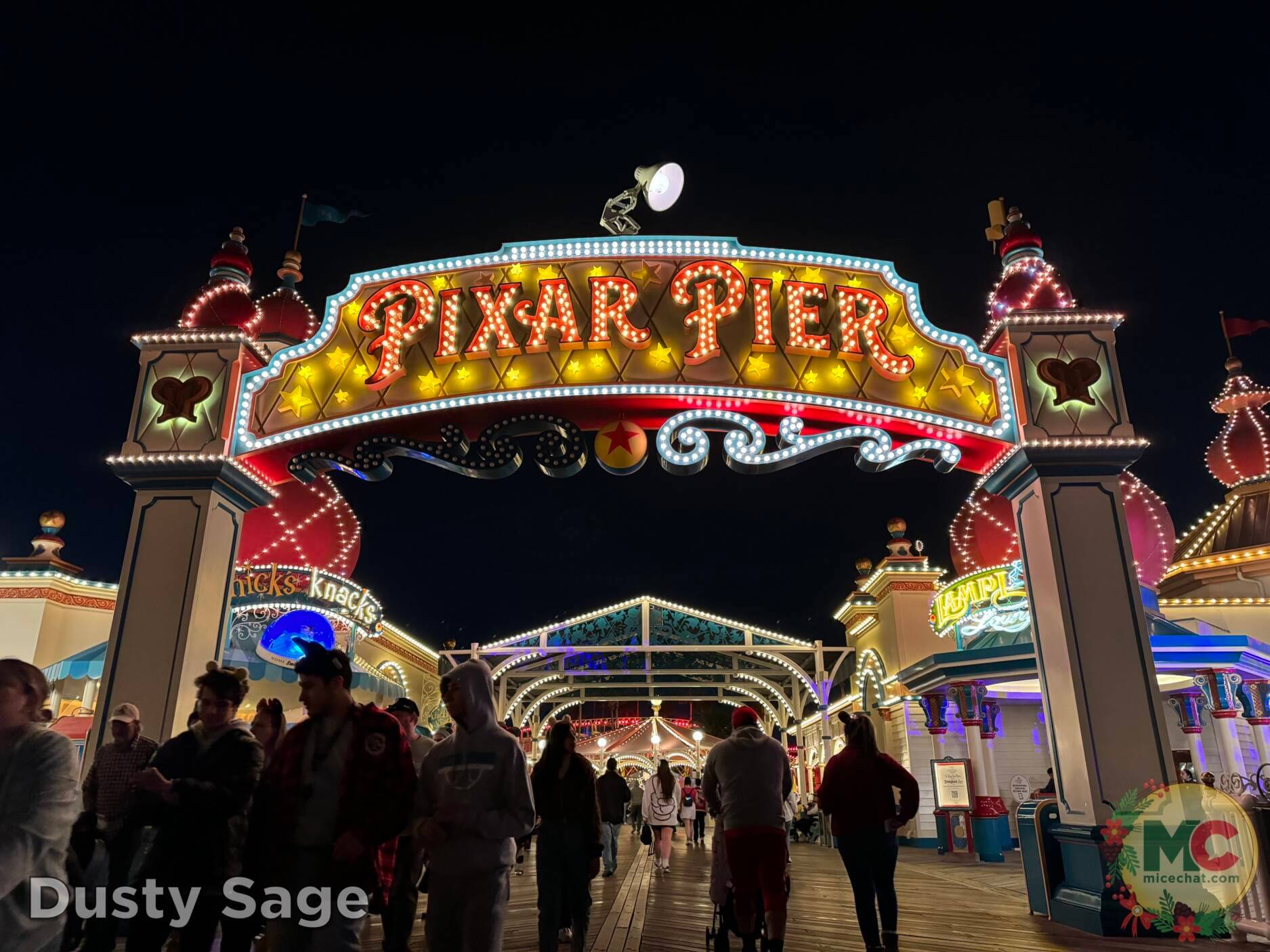 , DISNEYLAND UPDATE: The Long Wait, Magic Key Woes & Iger’s Uphill Battle
