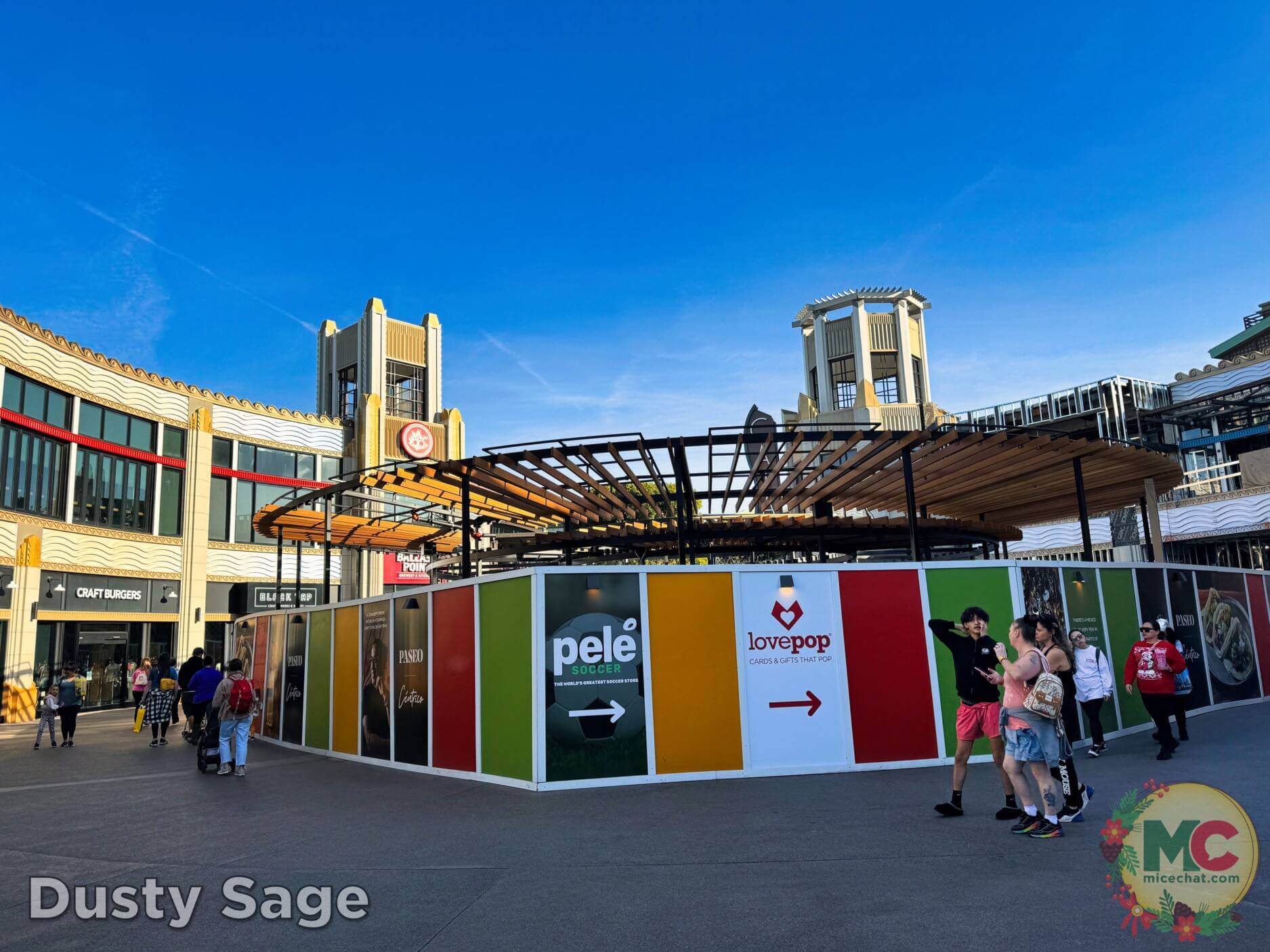 , Disneyland Update: The Big Christmas Lock Out