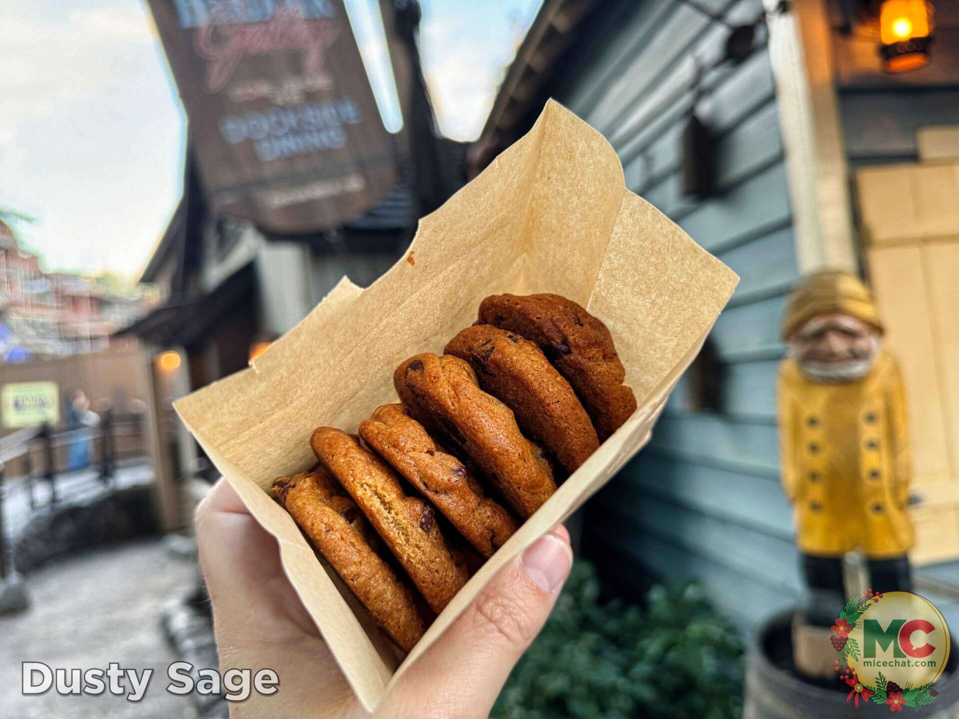 , DISNEYLAND UPDATE: Balancing Magic with Reality – Spring Surprises & Disappointments
