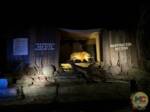 Disneyland News Jungle Cruise Tiger 3 MiceChat