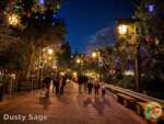 Disneyland News beauty grizzly trail 2 MiceChat