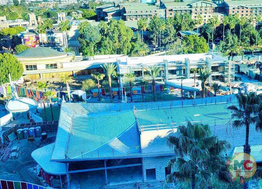 , DISNEYLAND UPDATE: The Long Wait, Magic Key Woes & Iger’s Uphill Battle