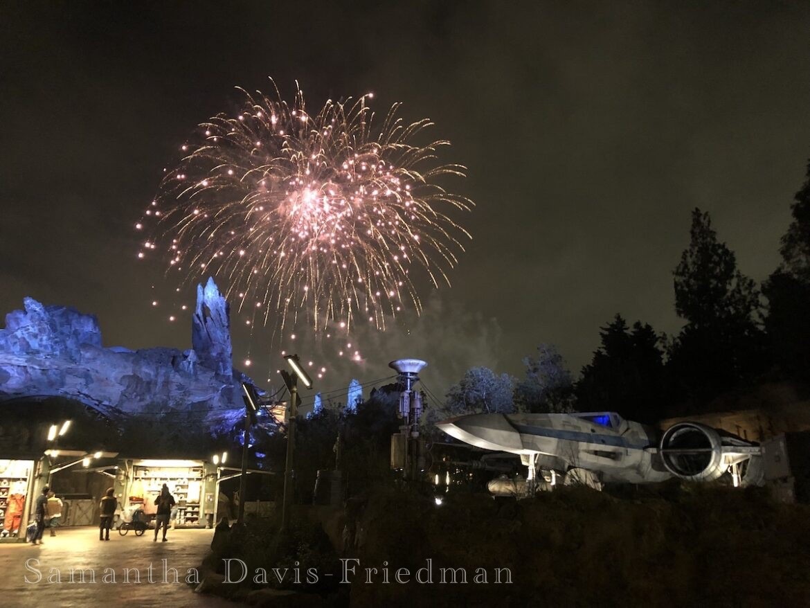 , Disneyland Update: The Big Christmas Lock Out