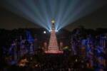 HKDL Tree Lighting