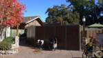 Knotts Berry Farm-Camp Snoopy-Peanuts Headquarters-Front