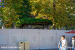 Mike Kindrich_Disney California Adventure_Blue Sky Cellar Refurbishment (1 of 1)-3