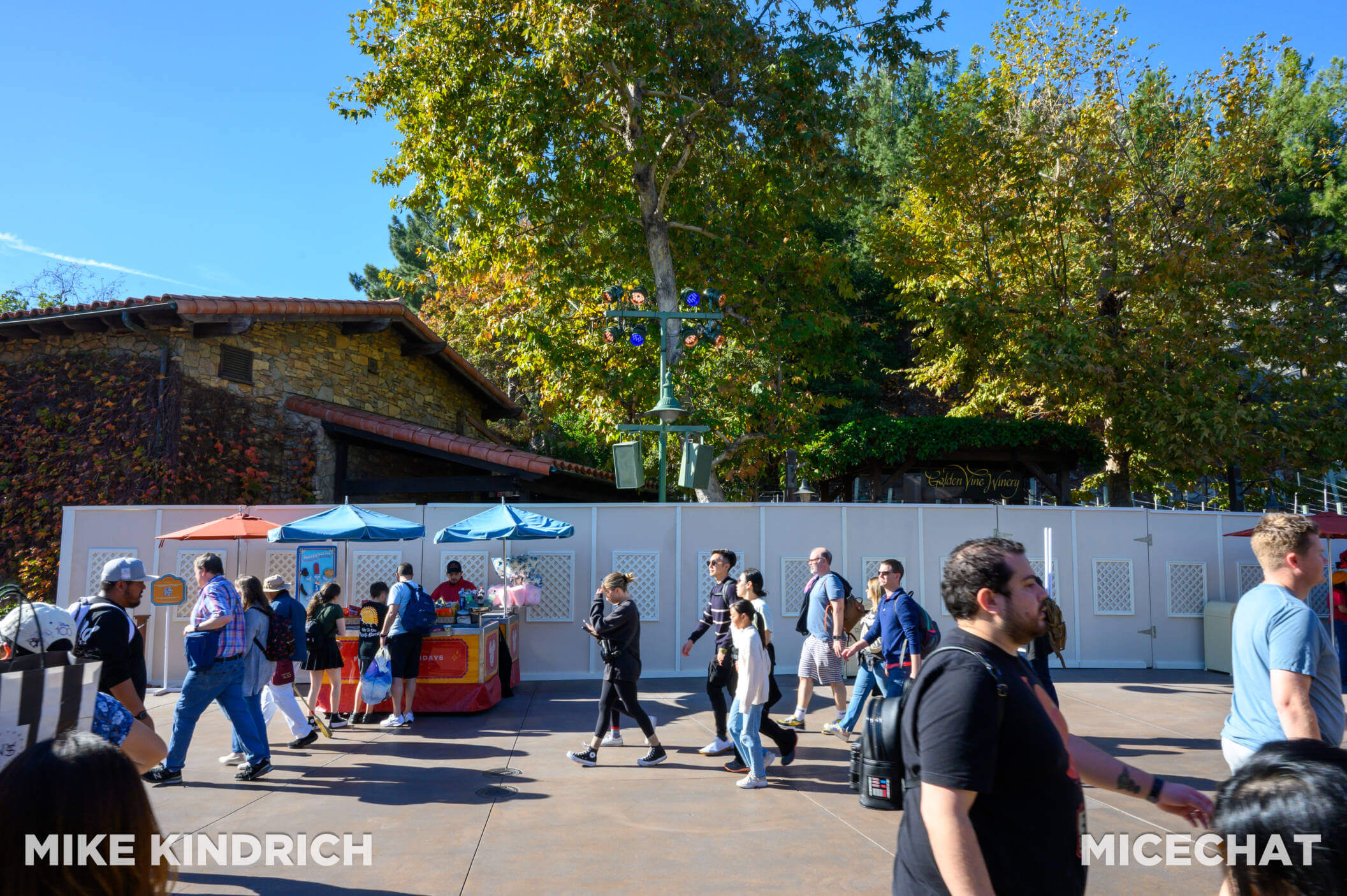 , DISNEYLAND UPDATE: The Long Wait, Magic Key Woes & Iger’s Uphill Battle
