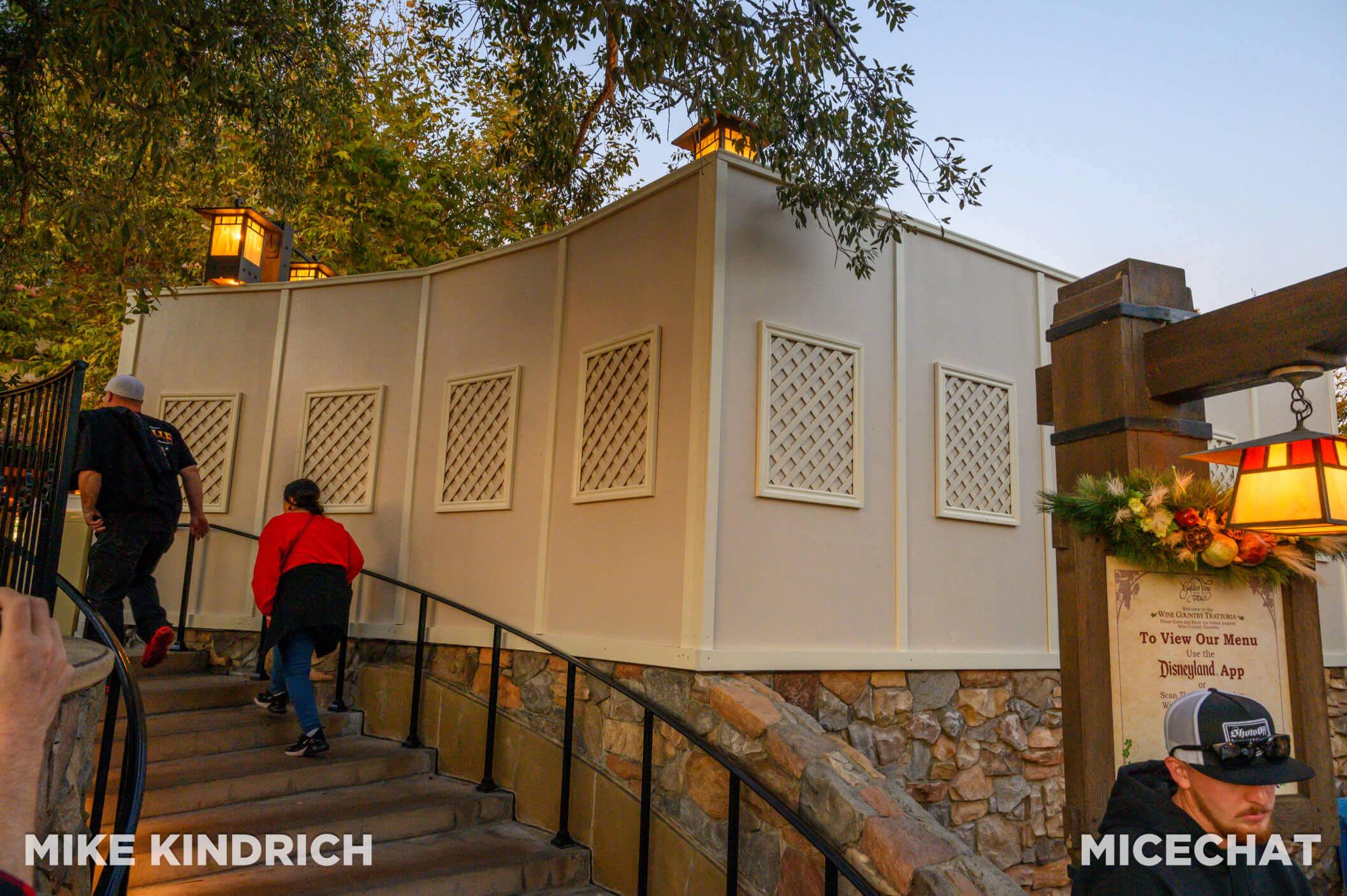 , DISNEYLAND UPDATE: The Long Wait, Magic Key Woes & Iger’s Uphill Battle