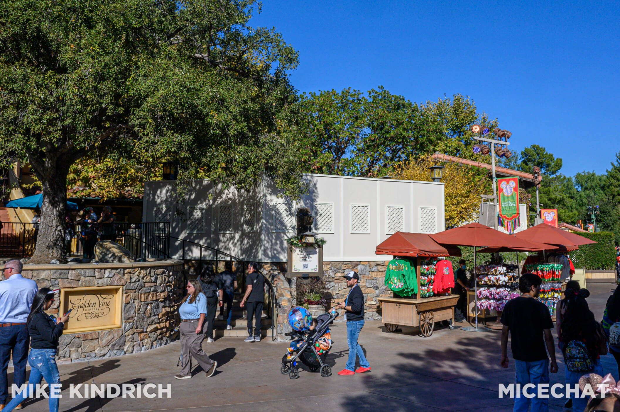 , DISNEYLAND UPDATE: The Long Wait, Magic Key Woes & Iger’s Uphill Battle