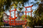 Mike Kindrich_Disney California Adventure_Pixar Pal Around (1 of 1)