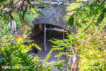 Mike Kindrich_Disneyland_Critter Country_Tiana’s Bayou Adventure_Construction (1 of 1)-2