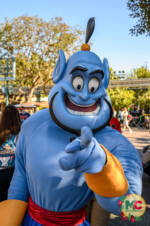 Mike Kindrich_Disneyland_Fantasyland_Genie (1 of 1)