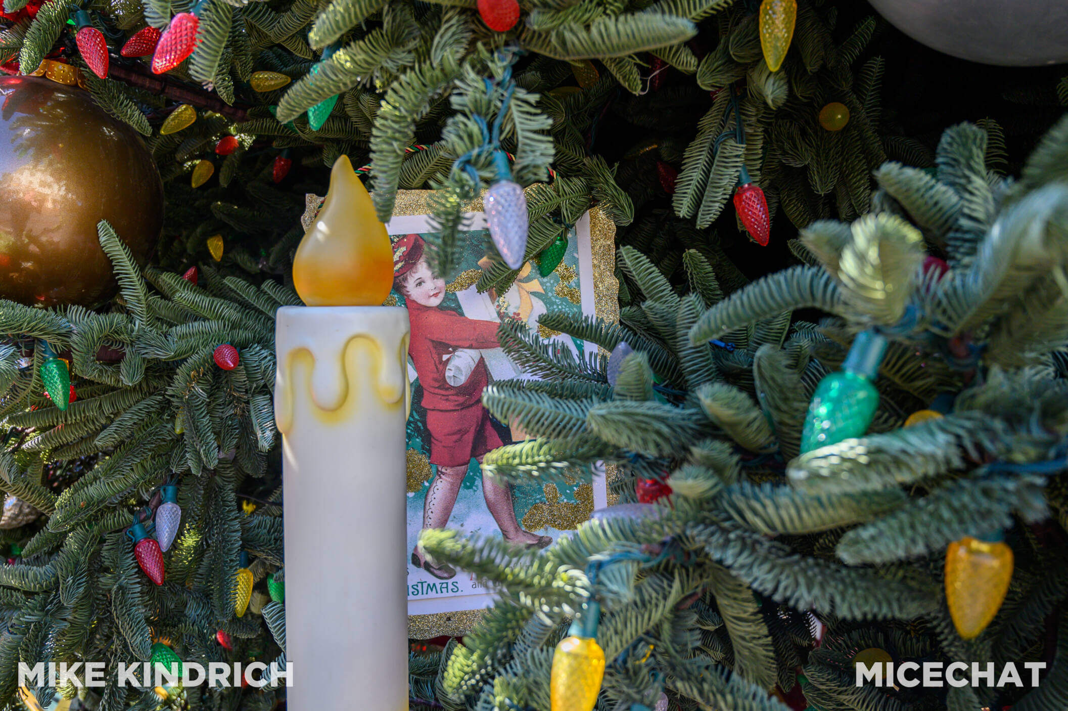 , Disneyland Update: The Big Christmas Lock Out