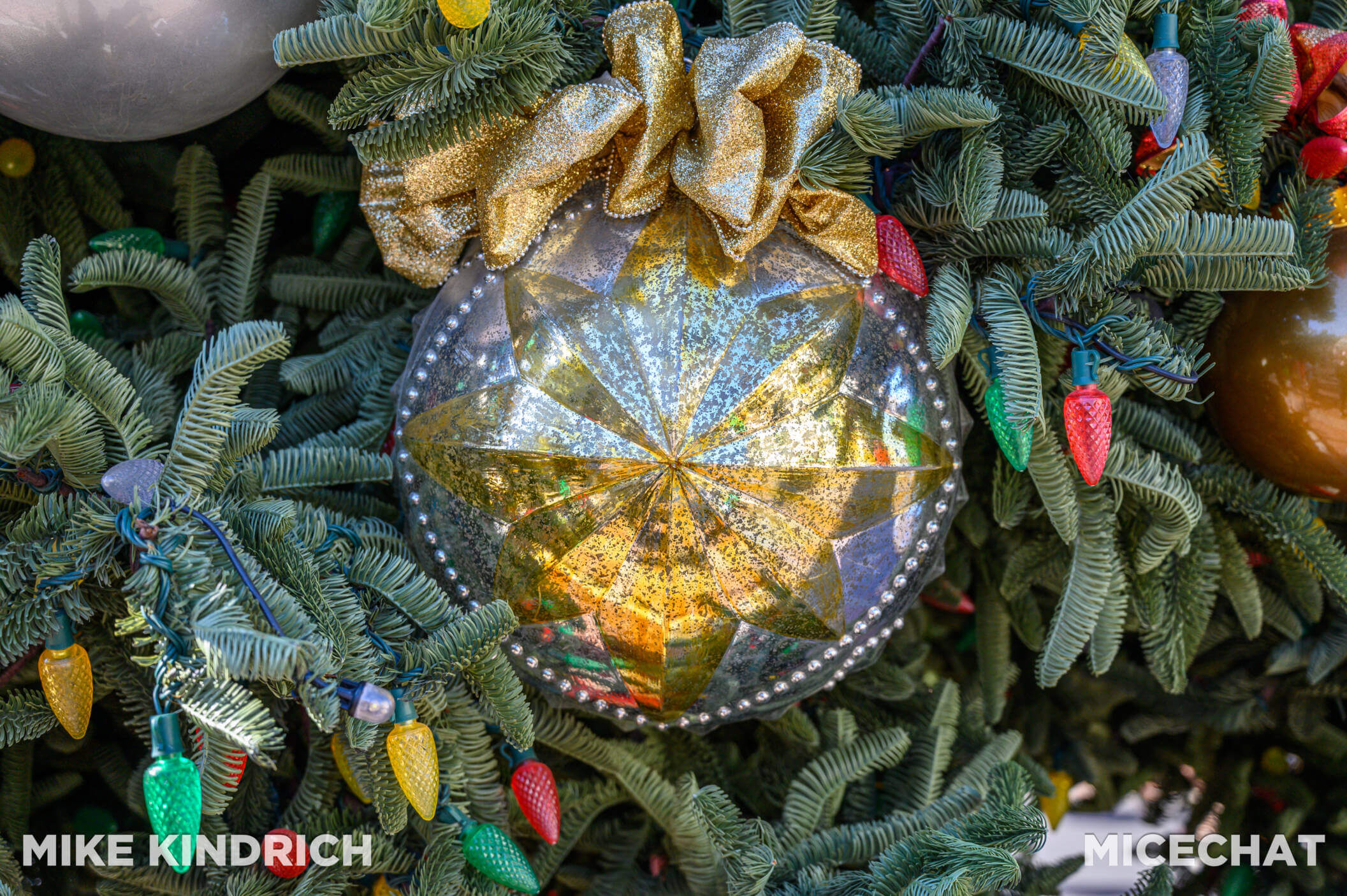, Disneyland Update: The Big Christmas Lock Out