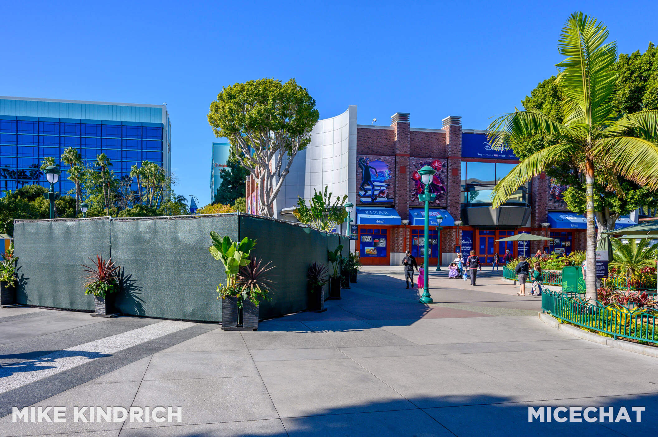 , DISNEYLAND UPDATE: The Long Wait, Magic Key Woes & Iger’s Uphill Battle