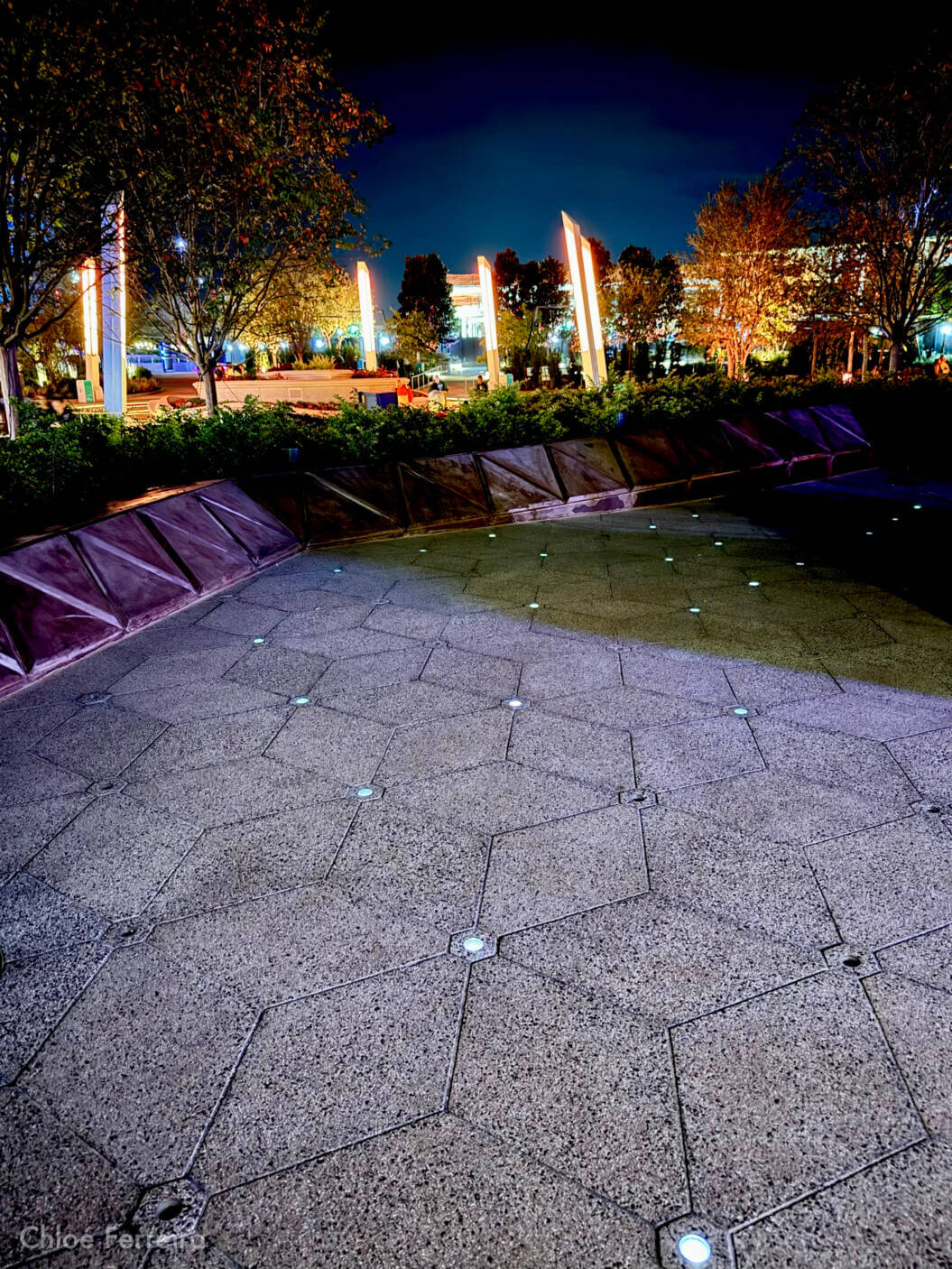 Luminous, EPCOT’s New Era: Celebrating Walt, Luminous Fireworks, and Enchanting Gardens!
