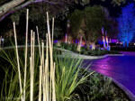 Photo_23 WDW EPCOT World Celebration Gardens Luminous