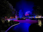 Photo_24 WDW EPCOT World Celebration Gardens Luminous