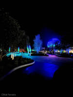 Photo_25 WDW EPCOT World Celebration Gardens Luminous