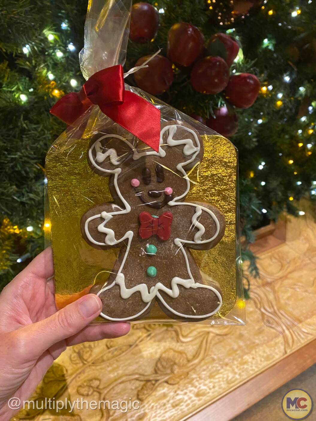 Holiday Activities, 8 Festive Must-Dos: A Family Guide to Disneyland’s Holiday Magic