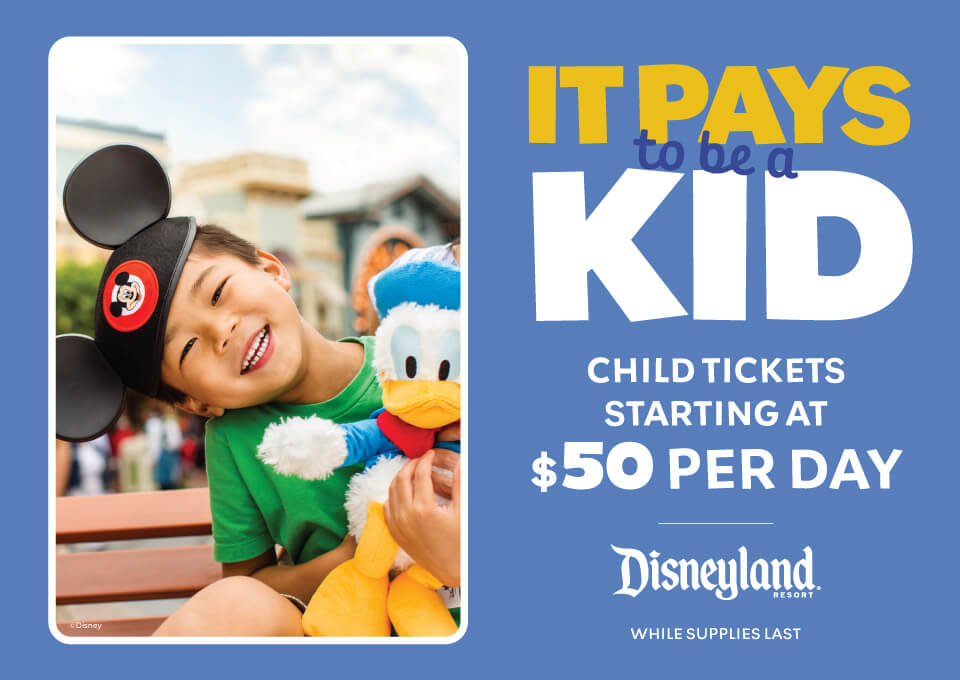 , DISNEYLAND UPDATE: Night Lights Delight, Price Spike & Bayou Hype