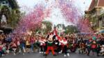 Disney Parks Magical Christmas Celebration
