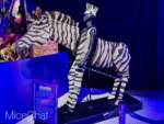 2025 Epcot Festival of the arts – Disney on Broadway – Lion King zebra