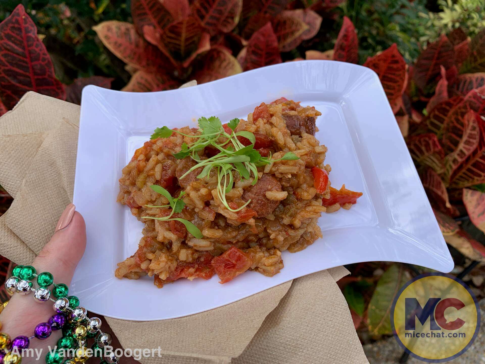 Busch Gardens Tampa Mardi Gras, Busch Gardens Tampa Mardi Gras – A Festival of Flavor & Fun